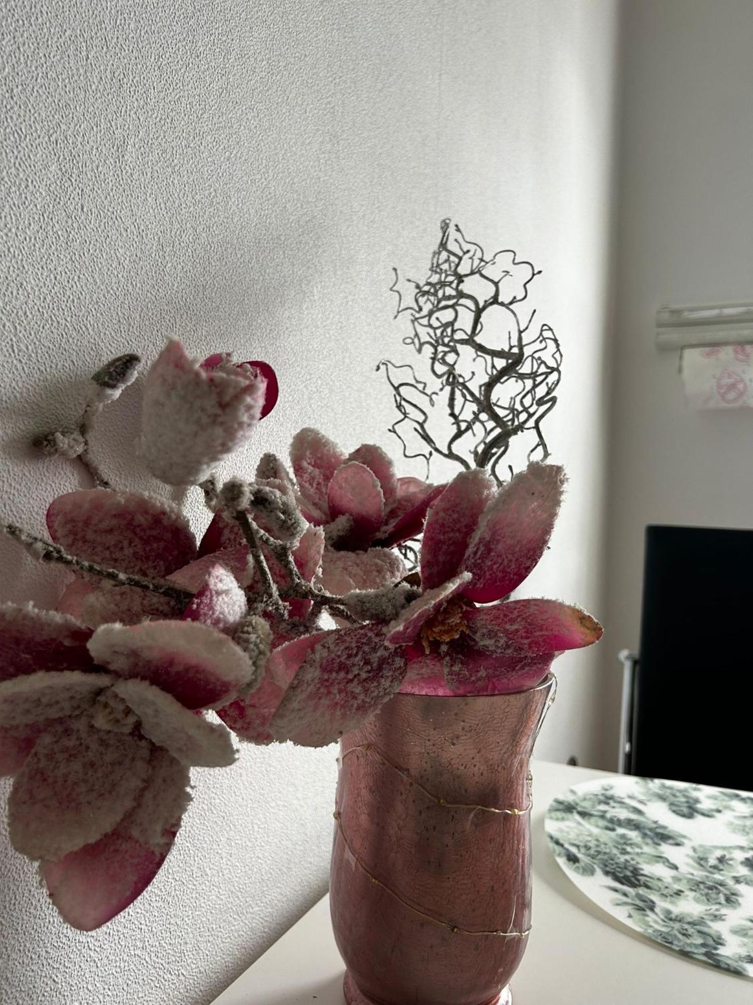 Gemuetliche Ferienwohnung-Appartement Bad Oeynhausen Bagian luar foto